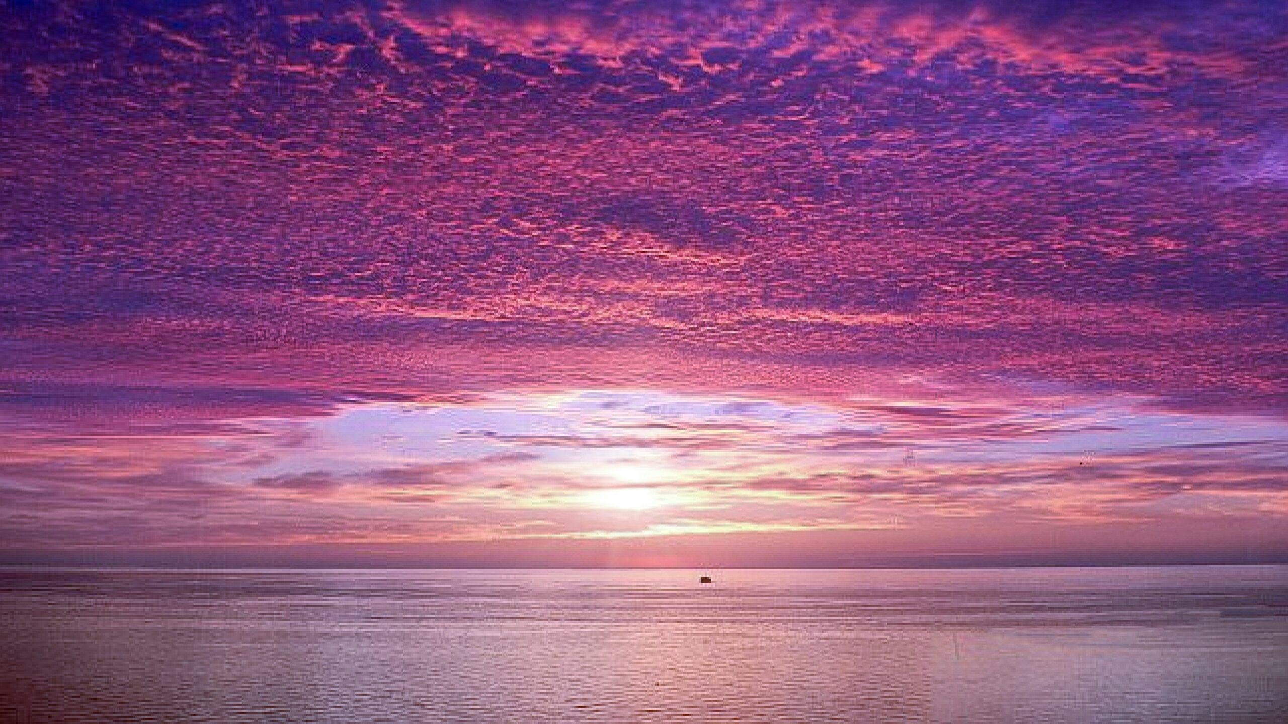 Early morning horizon at sea with pink and purple shades