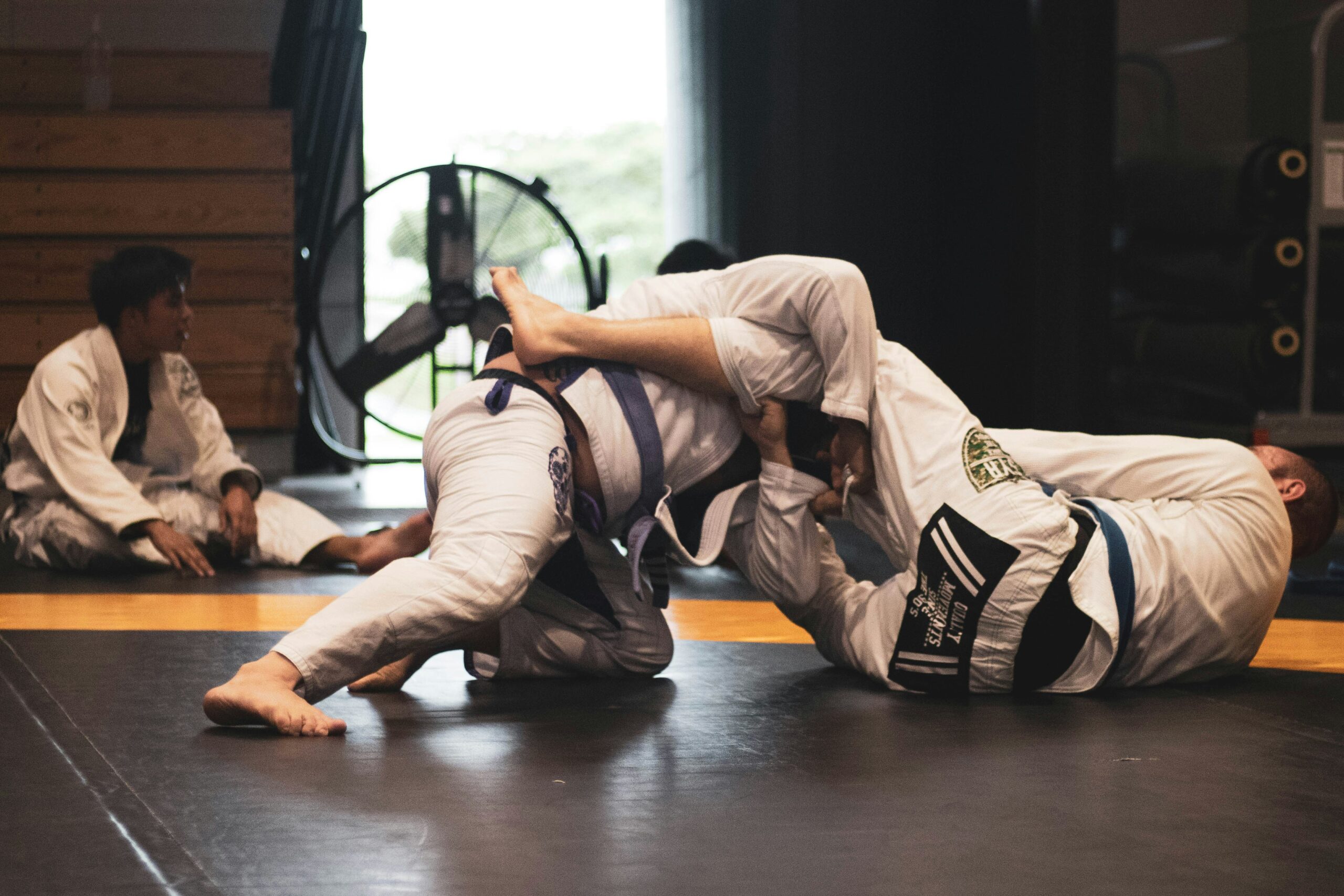 Martial arts with 2 people